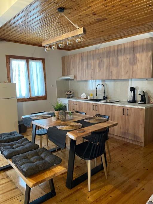 Appartement Politis' Wooden House à Vasilikí Extérieur photo