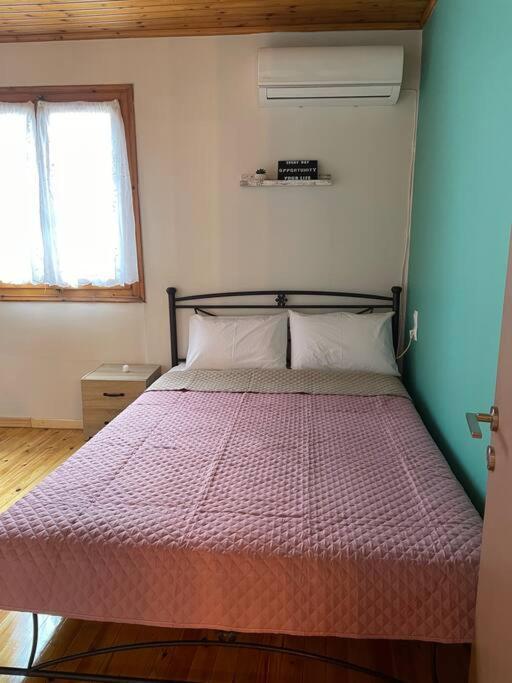 Appartement Politis' Wooden House à Vasilikí Extérieur photo