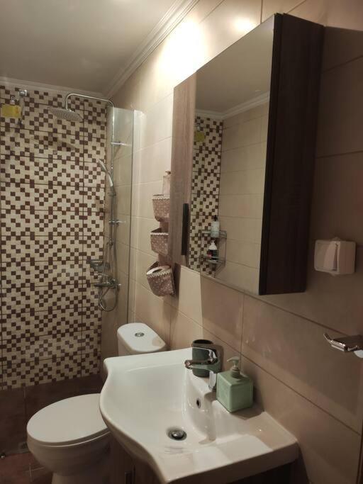 Appartement Politis' Wooden House à Vasilikí Extérieur photo