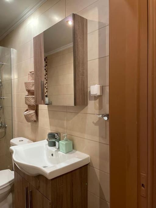 Appartement Politis' Wooden House à Vasilikí Extérieur photo