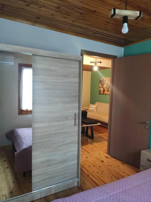 Appartement Politis' Wooden House à Vasilikí Extérieur photo