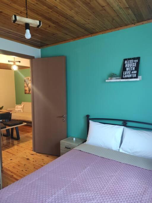 Appartement Politis' Wooden House à Vasilikí Extérieur photo